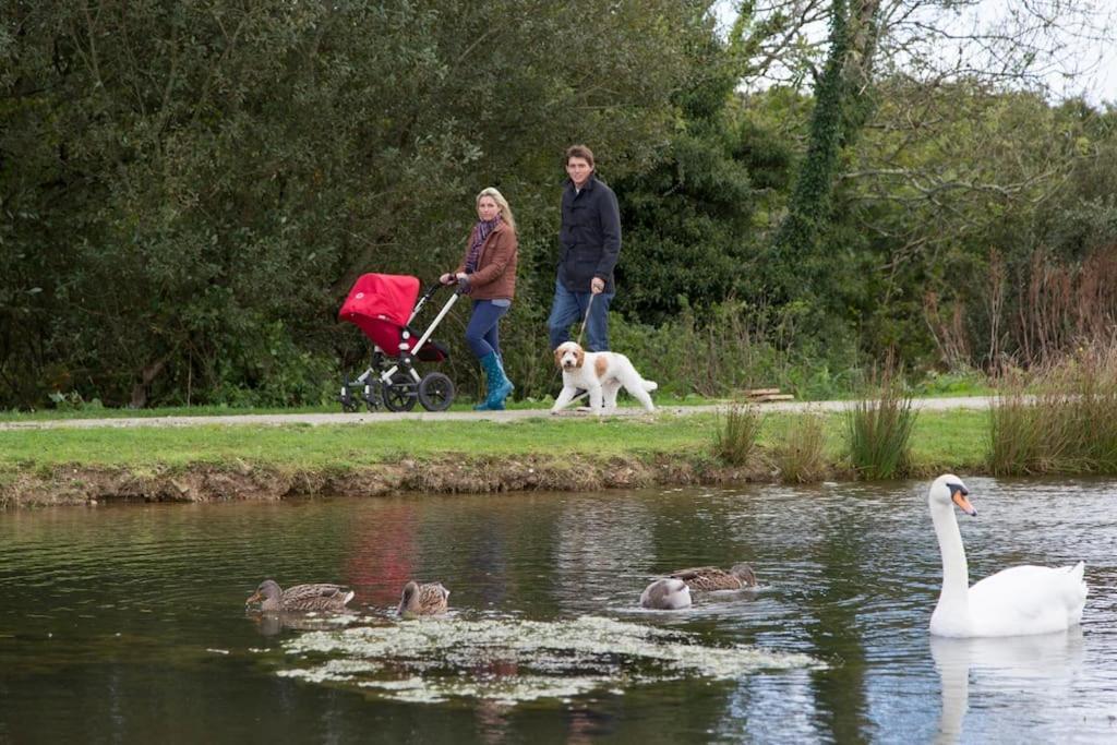 Skylark Sleeps 8 Private Hot Tub & Dogs Welcome Nr Padstow, Resort Pool Bar & Watersports St Columb Major Exterior photo